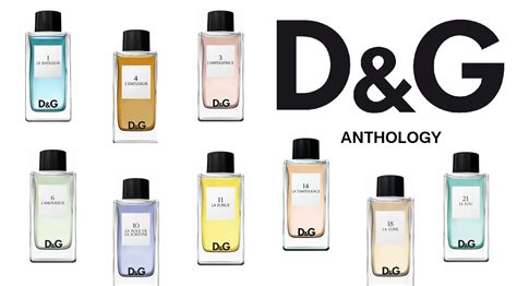 dolce gabbana anthology collection